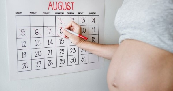 Bisakah Kalkulator Kehamilan Memprediksi Hari Kelahiran Bayi?