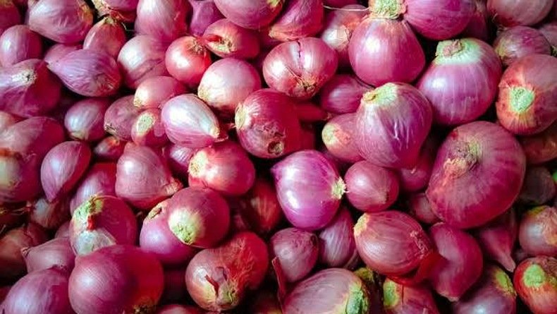 bawang merah, obat pilek untuk bayi