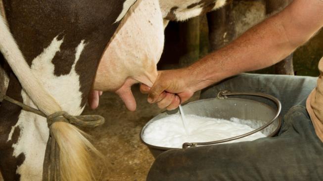 minuman yang dilarang untuk ibu hamil