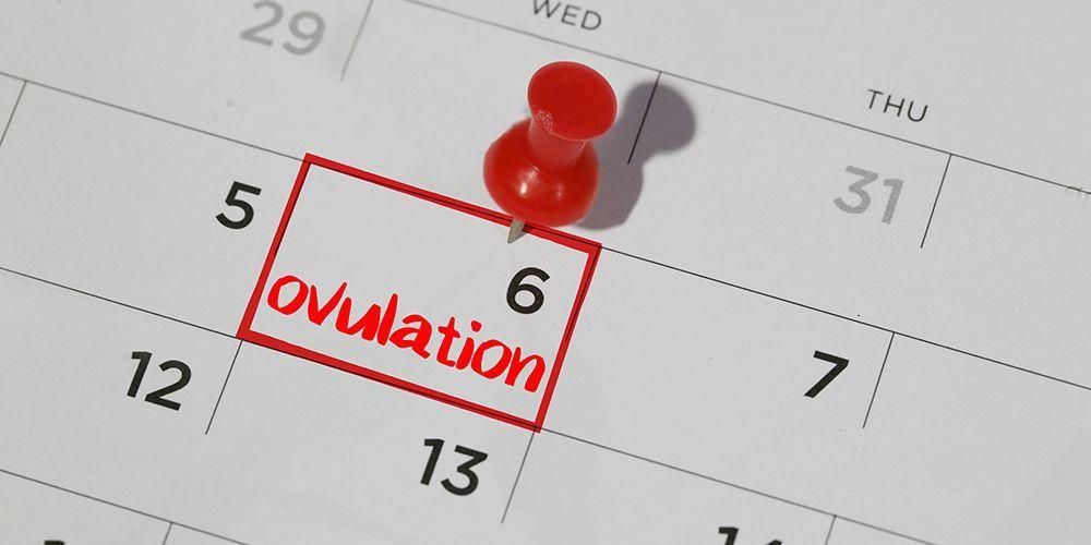 Manfaat Kalender Masa Subur untuk Perempuan